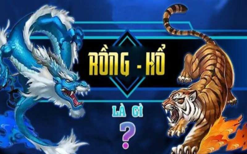 game rồng hổ tìm hiểu về cách chơi cũng như chiến thuật chơi rồng hổ